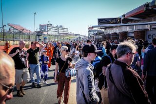 Autograph Session
