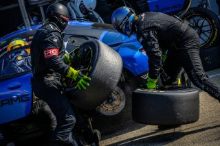 Race
