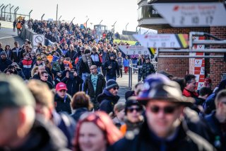 Pitwalk
