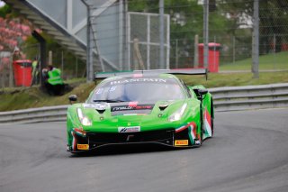 #333 Rinaldi Racing DEU Ferrari 488 GT3 Rinat Salikhov RUS David Perel ZAF Pro-Am Cup, Cars Only
