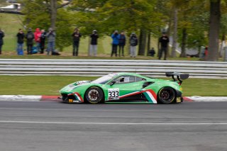 #333 Rinaldi Racing DEU Ferrari 488 GT3 Rinat Salikhov RUS David Perel ZAF Pro-Am Cup, Cars Only
