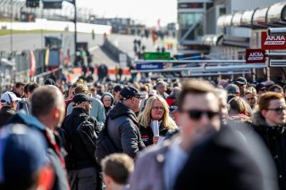 Pitwalk
