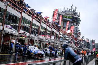 Gridwalk, Race
