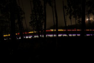 Race
