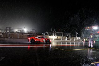 #17 Team WRT BEL Audi R8 LMS GT3 2019 - - Alex MacDowall GBR Shae Davies AUS Paul Petit FRA Silver Cup, Pitlane, Race
