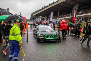 Gridwalk, Race
