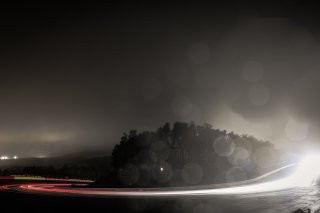 Race
