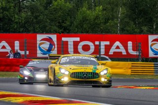 #999 Mercedes-AMG Team GruppeM Racing**** HKG Mercedes-AMG GT3 - - Maxi Buhk DEU Lucas Auer AUT Maxi Goetz DEU - IntGTC, Race
