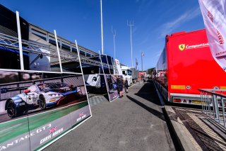 Paddock

