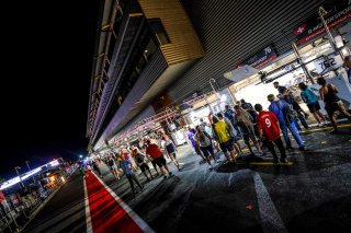 Night Pitwalk
