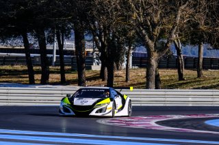 #22 Jenson Team Rocket RJN GBR Honda NSX GT3, Track

