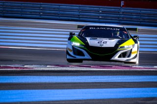 #22 Jenson Team Rocket RJN GBR Honda NSX GT3, Track
