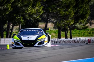 #22 Jenson Team Rocket RJN GBR Honda NSX GT3, Track
