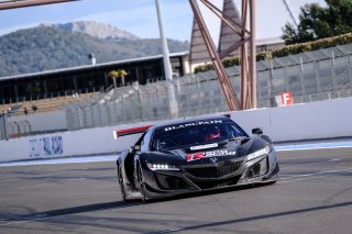 #11 Reno Racing DNK Honda NSX GT3 Evo, Track
