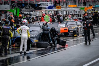 Race
