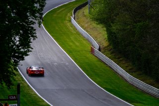 Free Practice 1
