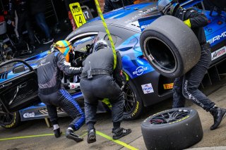 Pitlane, Race 1
