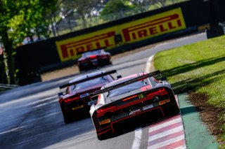 #10 Belgian Audi Club Team WRT BEL Audi R8 LMS GT3 2019 Oscar Tunjo COL Rik Breukers NLD Silver Cup, Qualifying
