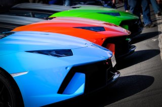 Paddock Ambiance

