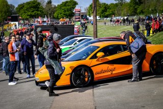 Paddock Ambiance
