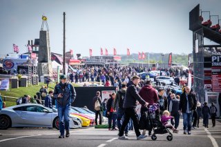 Paddock Ambiance
