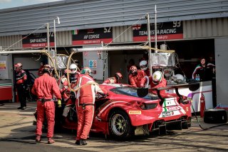 Pit Lane Race
