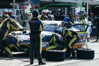 Pit Lane Race
