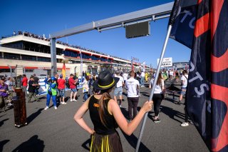 Gridwalk, Race
