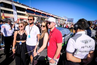 Gridwalk, Race

