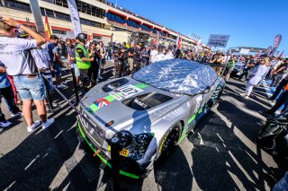 Gridwalk, Race
