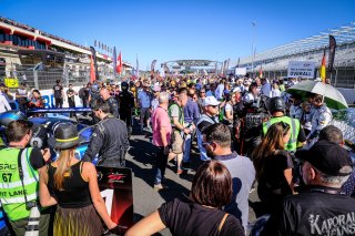 Gridwalk, Race
