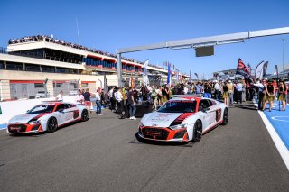 Gridwalk, Race
