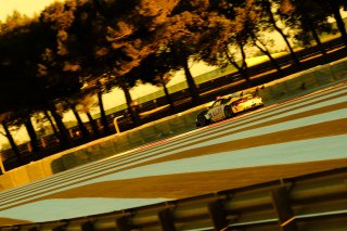 Race
