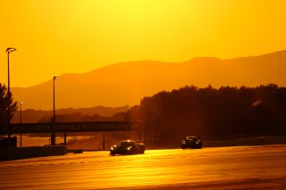 Race
