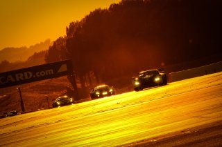 Race
