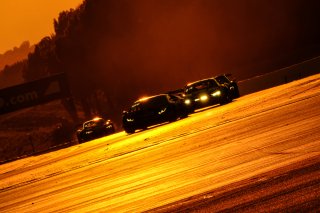 Race
