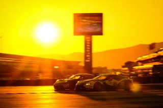 Race
