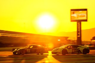 Race
