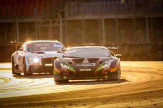 Race
