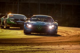 Race
