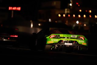 Race
