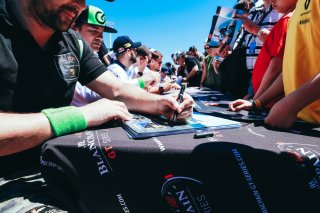 Autograph Session
