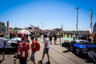 Gridwalk, Race 2
