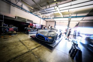 Scrutineering
