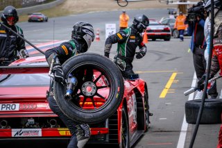 Pitlane, Race 1
