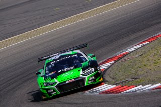 #17 Belgian Audi Club Team WRT BEL Audi R8 LMS GT3 2019 Tom Gamble GBR Shae Davies AUS Silver Cup, Free Practice 1
