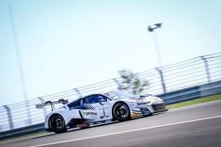 #1 Belgian Audi Club Team WRT BEL Audi R8 LMS GT3 2019 Ezequiel Perez Companc ARG Dries Vanthoor BEL -, Free Practice 2
