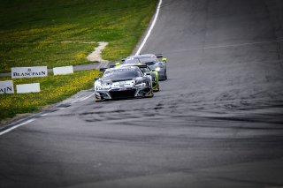 #1 Belgian Audi Club Team WRT BEL Audi R8 LMS GT3 2019 Ezequiel Perez Companc ARG Dries Vanthoor BEL -, Race 2
