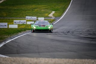 #333 Rinaldi Racing DEU Ferrari 488 GT3 Rinat Salikhov RUS David Perel ZAF Pro-Am Cup, Race 2
