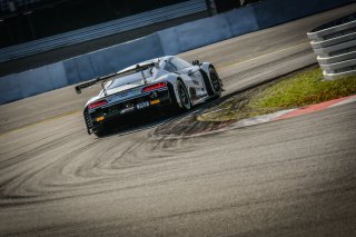 #1 Belgian Audi Club Team WRT BEL Audi R8 LMS GT3 2019 Ezequiel Perez Companc ARG Dries Vanthoor BEL -, Qualifying
